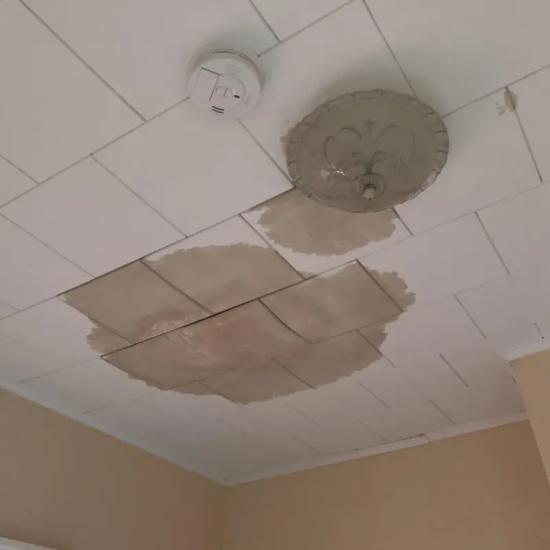 Ceiling Water Damage Repair in Llano County, TX