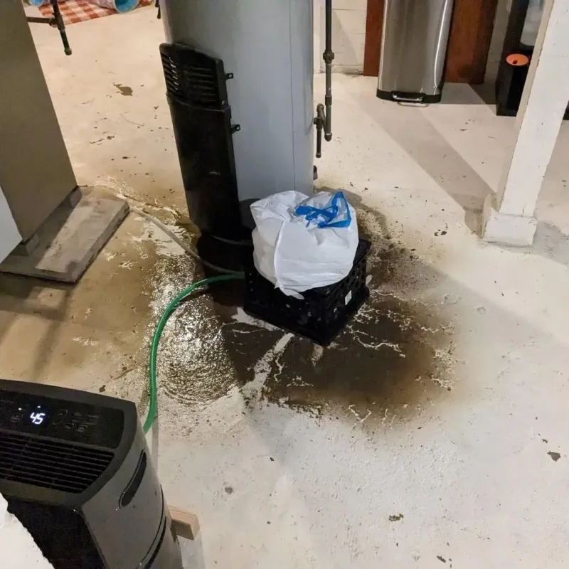 Sewage Backup Cleanup Service in Llano County, TX